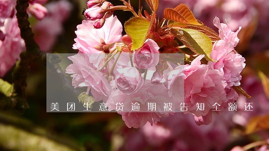 美团生意贷逾期被告知全额还 美团生意贷逾期被告知全额还