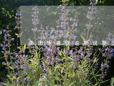 美团生意贷逾期说要上门讨要 美团生意贷逾期说要上门讨要