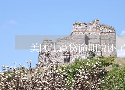 美团生意贷逾期说还了可以再借 美团生意贷逾期说还了可以再借