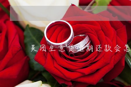 美团生意贷逾期还款会怎样 美团生意贷逾期还款会怎样