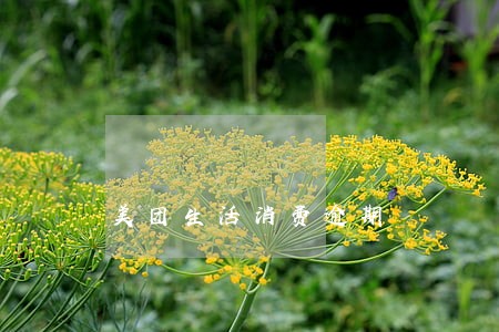 美团生活消费逾期 美团生活消费逾期