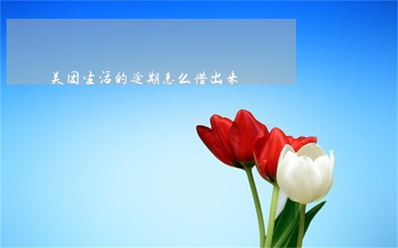 美团生活的逾期怎么借出来 美团生活的逾期怎么借出来