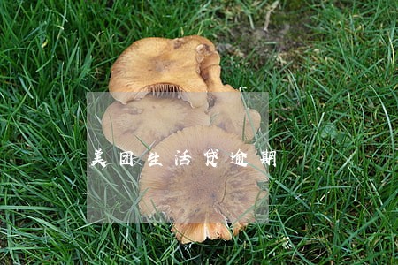 美团生活贷逾期 美团生活贷逾期