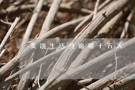 美团生活贷逾期十五天 美团生活贷逾期十五天