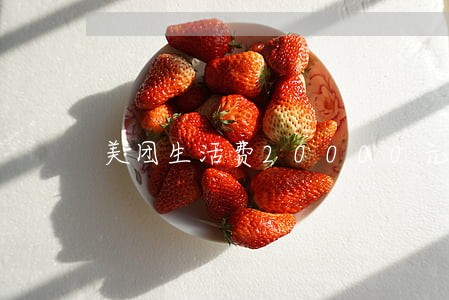 美团生活费20000元逾期 美团生活费20000元逾期