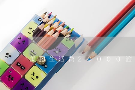 美团生活费20000逾期 美团生活费20000逾期