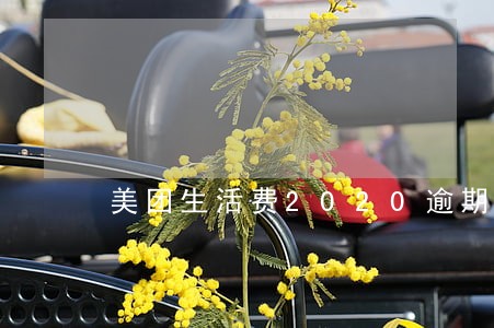 美团生活费2020逾期