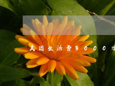 美团生活费3000逾期一年 美团生活费3000逾期一年