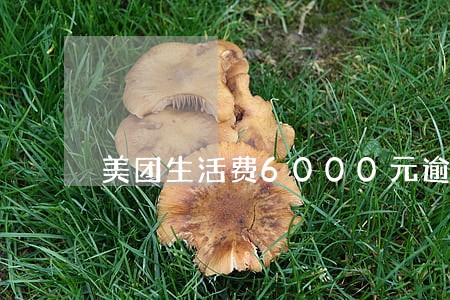 美团生活费6000元逾期6天 美团生活费6000元逾期6天