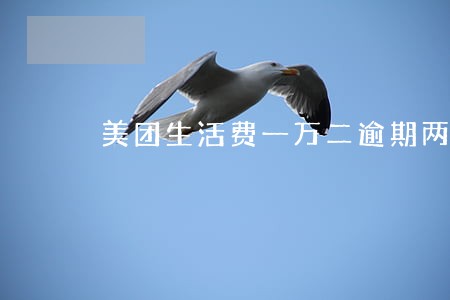美团生活费一万二逾期两年 美团生活费一万二逾期两年