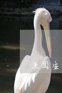 美团生活费三千块逾期三百多天 美团生活费三千块逾期三百多天