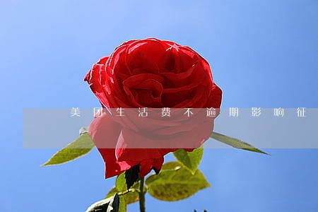 美团生活费不逾期影响征信吗 美团生活费不逾期影响征信吗