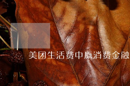 美团生活费中原消费金融逾期 美团生活费中原消费金融逾期
