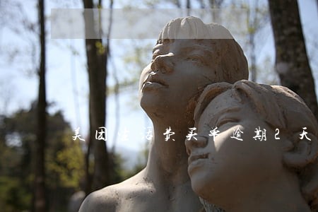 美团生活费买单逾期2天 美团生活费买单逾期2天