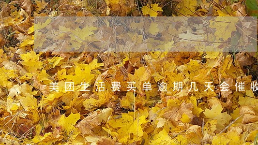 美团生活费买单逾期几天会催收 美团生活费买单逾期几天会催收