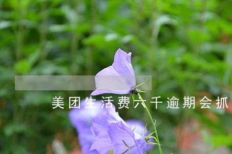 美团生活费六千逾期会抓人吗