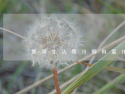 美团生活费分期有累计逾期计算吗 美团生活费分期有累计逾期计算吗