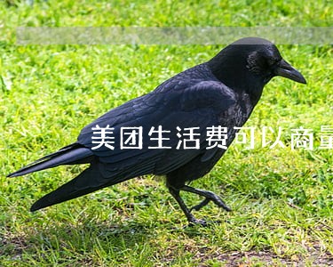 美团生活费可以商量只还本金吗 美团生活费可以商量只还本金吗