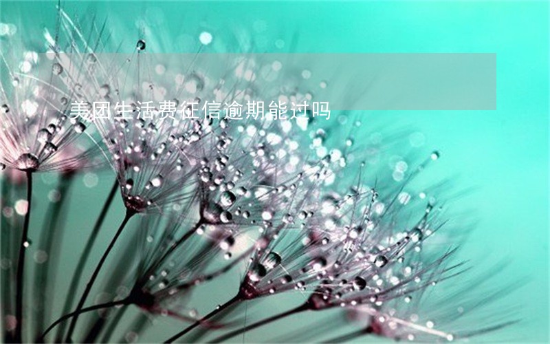 美团生活费征信逾期能过吗 美团生活费征信逾期能过吗