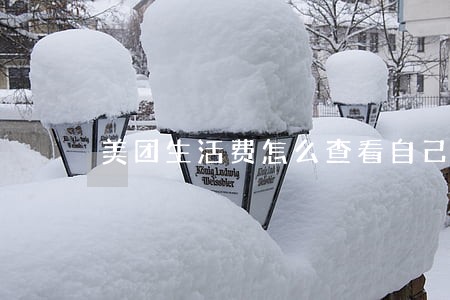 美团生活费怎么查看自己是否逾期