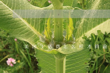美团生活费怎么样才算逾期 美团生活费怎么样才算逾期