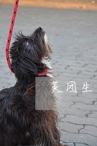 美团生活费意外逾期怎么办 美团生活费意外逾期怎么办