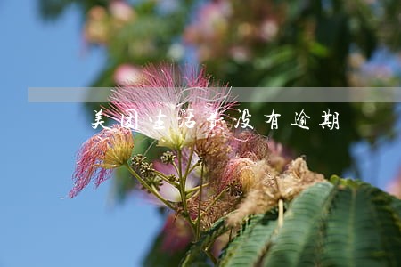 美团生活费没有逾期 美团生活费没有逾期