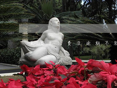 美团生活费没逾期不能借 美团生活费没逾期不能借