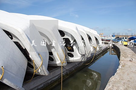 美团生活费没逾期会影响征信么 美团生活费没逾期会影响征信么