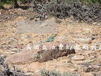 美团生活费的逾期利息 美团生活费的逾期利息