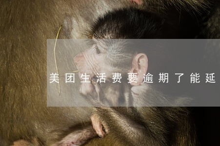 美团生活费要逾期了能延迟吗