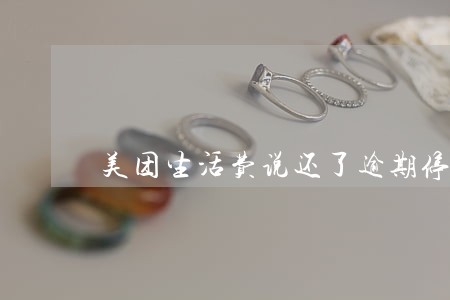 美团生活费说还了逾期停息 美团生活费说还了逾期停息