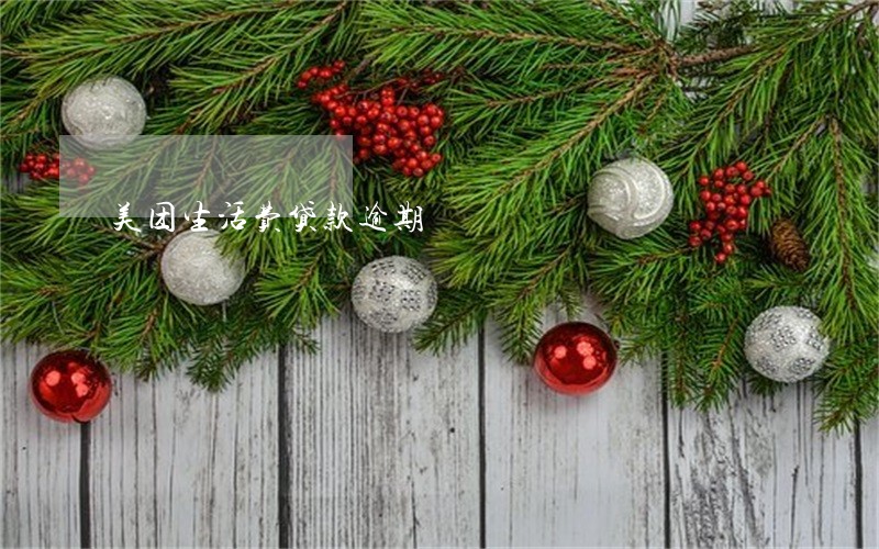 美团生活费贷款逾期 美团生活费贷款逾期