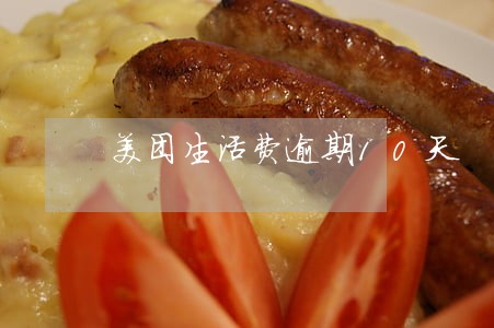 美团生活费逾期10天 美团生活费逾期10天