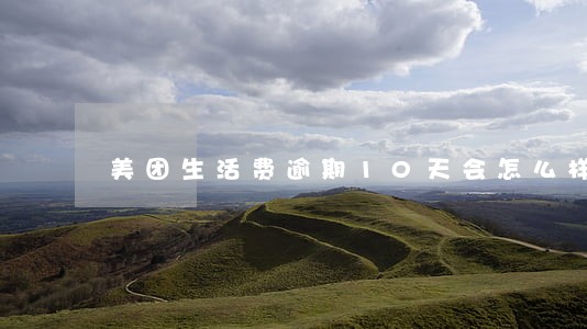 美团生活费逾期10天会怎么样 美团生活费逾期10天会怎么样