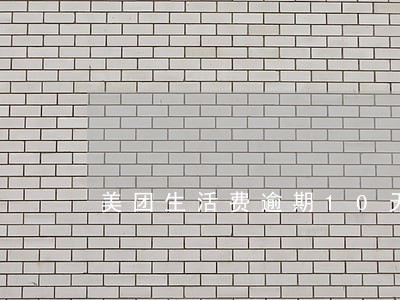 美团生活费逾期10天有事吗