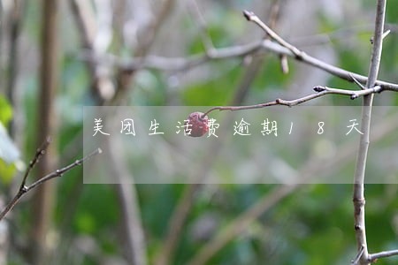 美团生活费逾期18天 美团生活费逾期18天