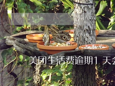 美团生活费逾期1天会上征信吗 美团生活费逾期1天会上征信吗