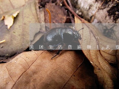 美团生活费逾期1天要紧吗