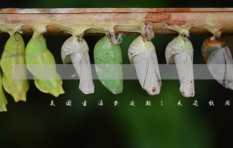 美团生活费逾期1天还能用吗 美团生活费逾期1天还能用吗