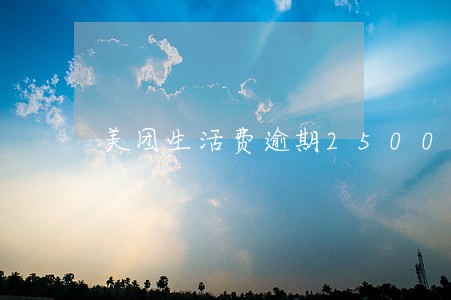 美团生活费逾期2500 美团生活费逾期2500