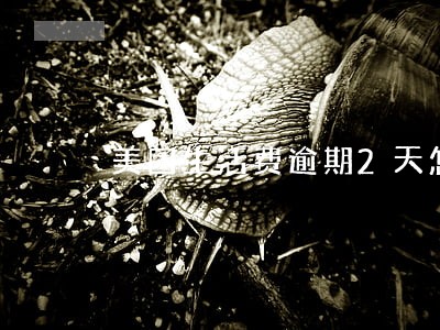 美团生活费逾期2天怎么样 美团生活费逾期2天怎么样