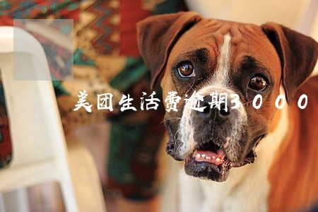 美团生活费逾期3000一个月 美团生活费逾期3000一个月
