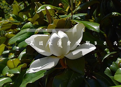 美团生活费逾期30天上门 美团生活费逾期30天上门