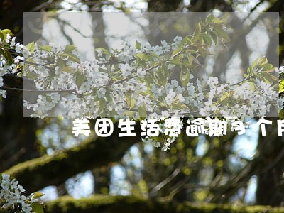 美团生活费逾期3个月 美团生活费逾期3个月