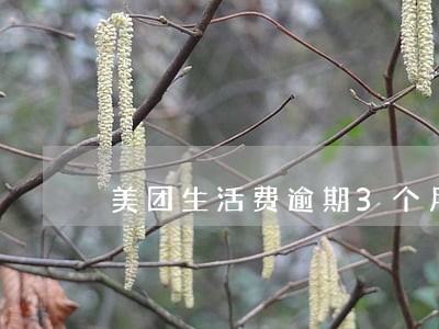 美团生活费逾期3个月了 美团生活费逾期3个月了