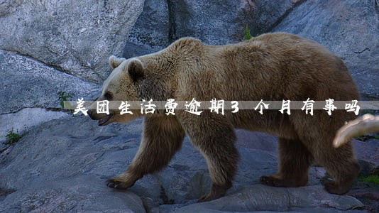 美团生活费逾期3个月有事吗 美团生活费逾期3个月有事吗
