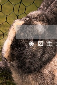 美团生活费逾期3天会全额 美团生活费逾期3天会全额