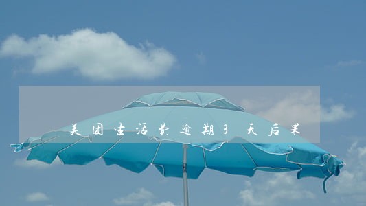 美团生活费逾期3天后果 美团生活费逾期3天后果