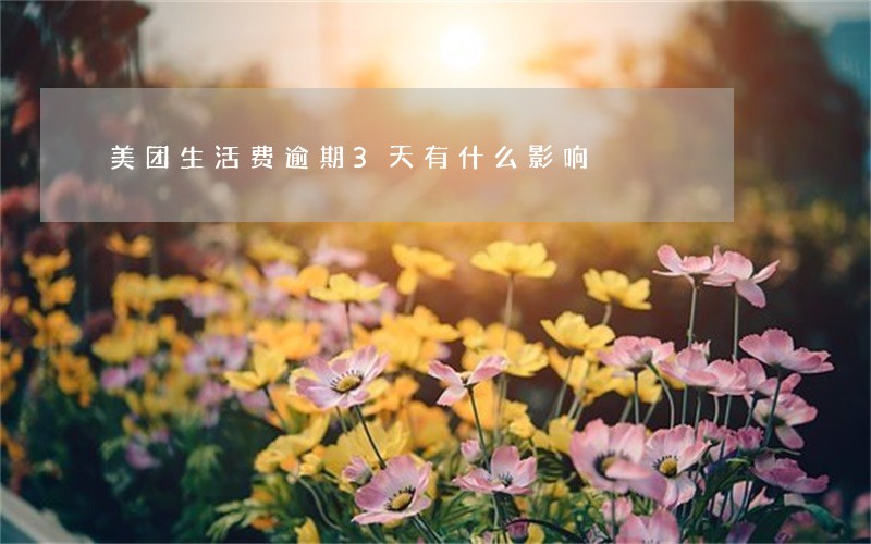 美团生活费逾期3天有什么影响 美团生活费逾期3天有什么影响